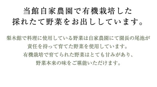 当館自家農園で有機栽培した採れたて野菜をお出ししています。